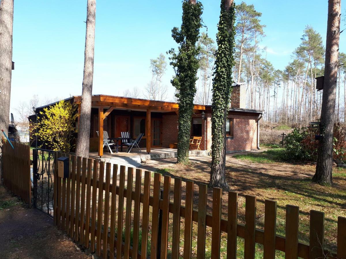 Blockhütte Rudolf Villa Zerbst Dış mekan fotoğraf